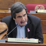 Suplente de Lugo en el Senado: 