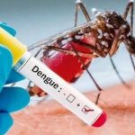 Salud cuenta con nuevo test para detectar en simultáneo dengue, zika y chikungunya